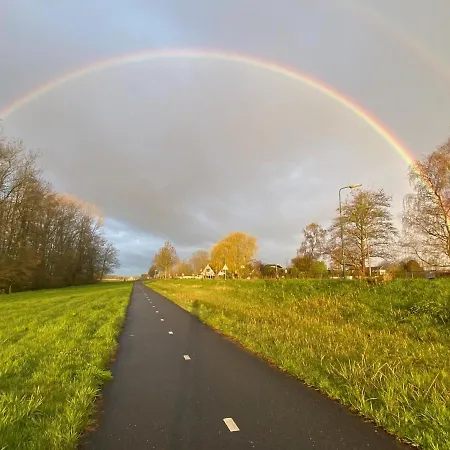 Braas Проживание в семье Breukeleveen