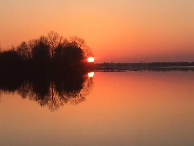 Проживание в семье Braas *