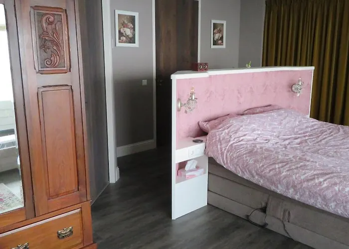 Braas Проживание в семье Breukeleveen